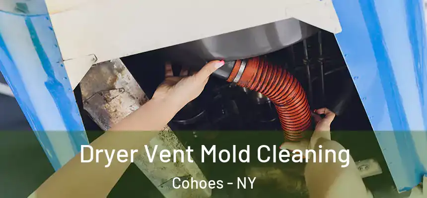  Dryer Vent Mold Cleaning Cohoes - NY