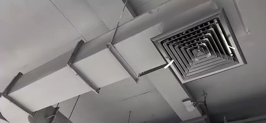 Restorative Allergy Relief Vent Cleaning – Coil, Blower & Housing Detail in Cohoes