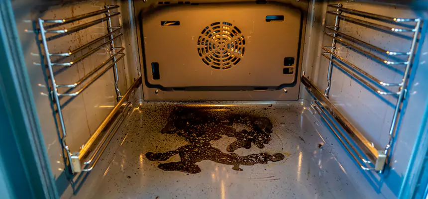 Our Dryer Vent Mold Cleaning Services in Cohoes, NY