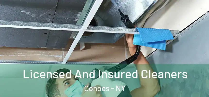  Licensed And Insured Cleaners Cohoes - NY