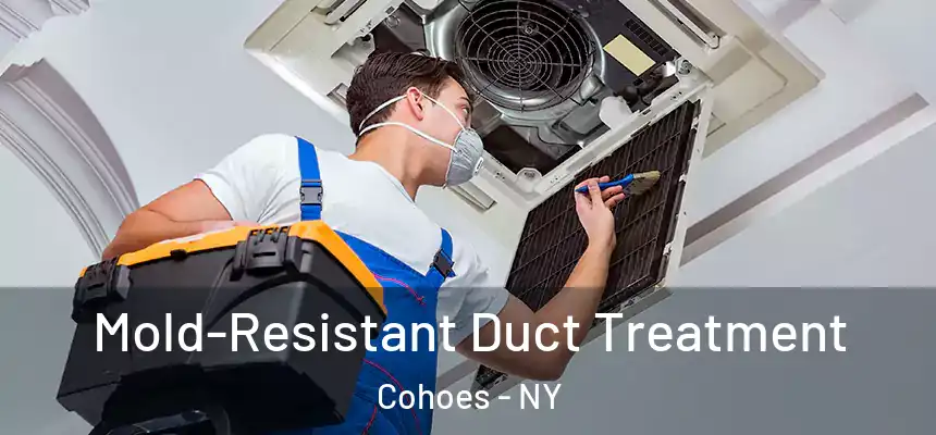  Mold-Resistant Duct Treatment Cohoes - NY