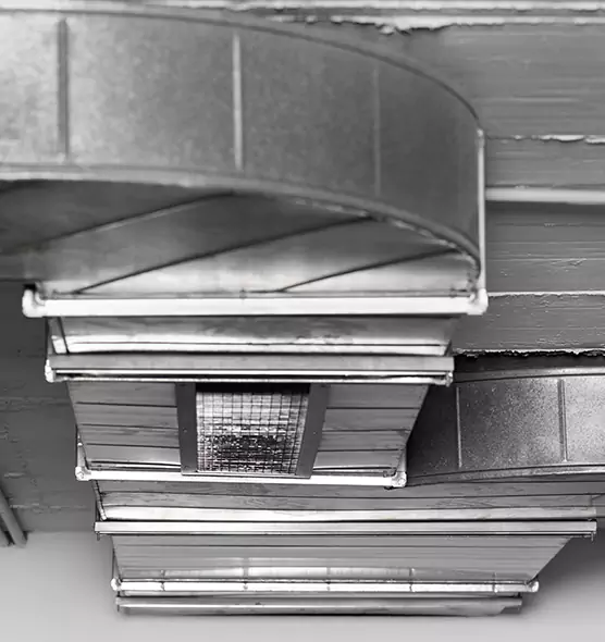 Professional Air Duct Pest Removal in Cohoes, NY