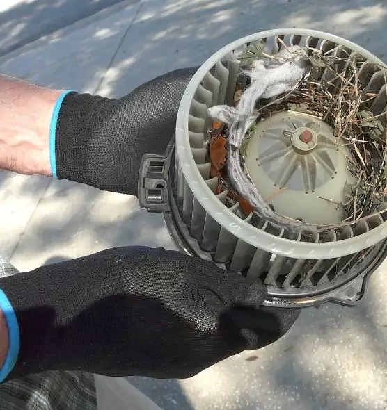 About Air Duct Rat Removal in Cohoes, NY