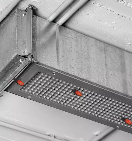 Affordable Insect Removal from Air Ducts in Cohoes, NY